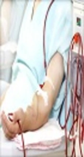 First Report of the Prevalence of Human T-Lymphotropic Virus Type 1 (HTLV-1) for Hemodialysis Patients in Tehran