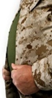 Evaluating the Effects of Supplementation with Calcium, Vitamin D, or Their Combination on Lipid Profile and Body Weight in Overweight Military Personnel