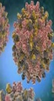 Hepatitis B Virus and Malaria Co-infection Causing Significant Changes in Hematological and Liver Function Indices in a Cohort of Subjects in Ilorin, Nigeria