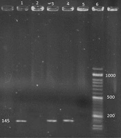 Jentashapir J Cell Mol Bio