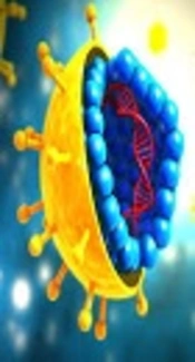 Real Time PCR Based Detection of Hepatitis C Virus Major Genotypes in Chronic HCV Patients in Khyber Pakhtunkhwa