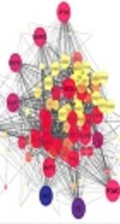 Human Prolactinoma: A View of Protein-Protein Interaction Pattern