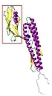 Design of a Universal Influenza A Vaccine Candidate Based on M2e.FliC; Immunoinformatics Analysis, Protein Modeling, and Its Expression in <i>Escherichia coli</i>