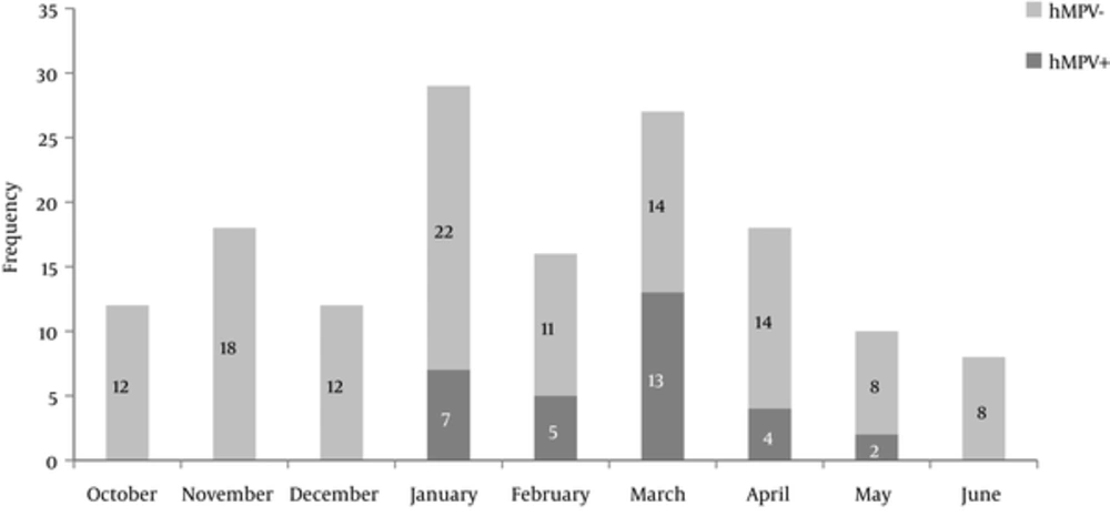 Seasonal distribution of human metapneumovirus (hMPV) positive samples from October 2015 through Jun 2016 at Imam Reza hospital, Bojnurd Seasonal distribution of human metapneumovirus (hMPV) positive samples from October 2015 through Jun 2016 at Imam Reza hospital, Bojnurd