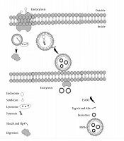 Jentashapir Journal of Cellular and Molecular Biology