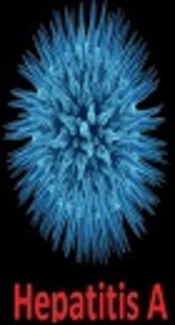 A Seroepidemiologic Study of Hepatitis A in Seven to Eighteen-Year-Old School Children in Birjand: New Concerns and Opportunities