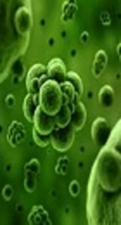 Nosocomial Infections: Multicenter Surveillance of Antimicrobial Resistance in Tehran During 2015 - 2017