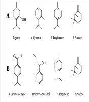Jundishapur J Nat Pharm Prod