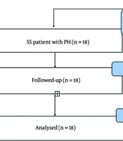Middle East J Rehabil Health Stud