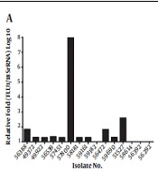 Jundishapur Journal of Microbiology