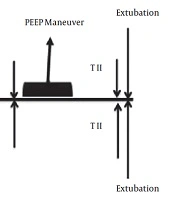 Iranian Journal of Pediatrics