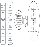 International Journal of Endocrinology and Metabolism