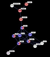 International Journal of Cancer Management 
