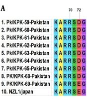 Jundishapur Journal of Microbiology 