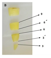 Middle East J Rehabil Health Stud