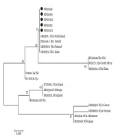 Jundishapur J Microbiol