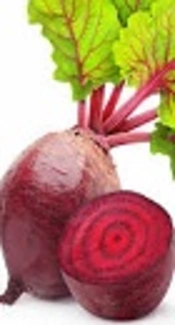 The Effect of Ethanol Extract of <i>Beta vulgaris</i> Leaves on Rats with Scopolamine-Induced Cognitive Deficiency