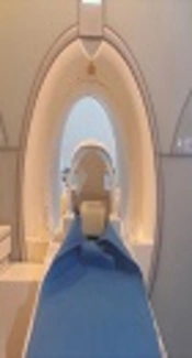 Quantification of Artifacts in MR Images Caused by Commonly Used Dental Materials