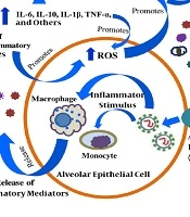 International Journal of Infection 