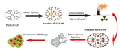 Iran J Pharm Res