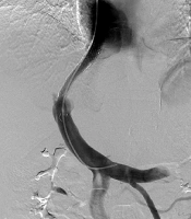 Iranian Journal of Radiology 