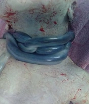 Fertil Gynecol Androl