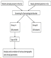 J Skin Stem Cell