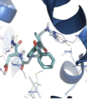 Iran J Pharm Res