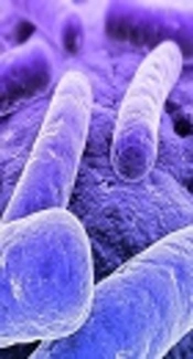 Colistin-Resistant <i>Klebsiella pneumoniae</i>: Prevalence of Integrons and Synergistic Out Turn for Colistin-Meropenem