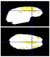  Archives of Neuroscience