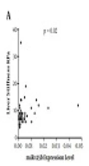 Correlation Between miR-125b Expression and Liver Fibrosis in Patients with Chronic Hepatitis C