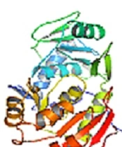 Jentashapir J Cell Mol Biol