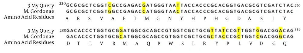My Query: <i>M. gordonae</i> Sensitive to Ciprofloxacin The amino acid sequence of <i>M. gordonae</i> sensitive to ciprofloxacin was 100% similar to <i>M. gordonae</i> ATCC 14470 (AJ564389.1).