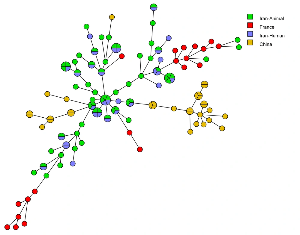 Minimum spanning tree, using BioNumerics<sup>TM</sup> software (version 7.6. Applied Maths), indicates the genetic diversity of <i>Candida albicans</i> isolates from Iran compared to other countries (<a href="#A132587REF7">7</a>, <a href="#A132587REF27">27</a>, <a href="#A132587REF28">28</a>). Minimum spanning tree, using BioNumerics<sup>TM</sup> software (version 7.6. Applied Maths), indicates the genetic diversity of <i>Candida albicans</i> isolates from Iran compared to other countries (<a href="#A132587REF7">7</a>, <a href="#A132587REF27">27</a>, <a href="#A132587REF28">28</a>).