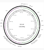 Jundishapur J Microbiol