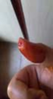 Explosive Rise in Viral Infections Through Meat-Sellers