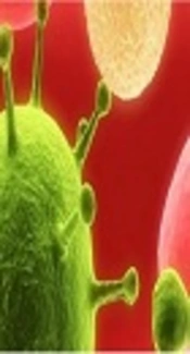 Cloning and Expression of HP0242 Hypothetical Gene as a DNA Vaccine Candidate for <i>Helicobacter pylori</i> and Study of Its Immunoreactivity