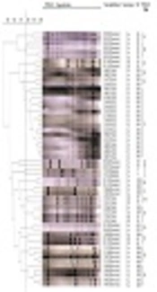 Genetic Diversity of <i>Streptococcus agalactiae </i>from Multiple Host Species in China
