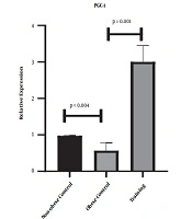 Jundishapur Journal of Health Sciences