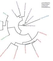  Jundishapur J Microbiol