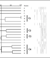 Jundishapur J Microbiol