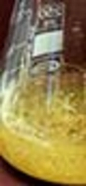 Genetically Transformed Root-Based Culture Technology in Medicinal Plant <i>Cosmos bipinnatus</i>