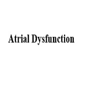 Multidisciplinary Cardiovascular Annals