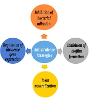J Kermanshah Univ Med Sci