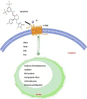 International Journal of Cancer Management