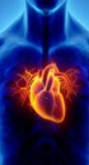 Study on the Efficiency of a Multi-layer Perceptron Neural Network Based on the Number of Hidden Layers and Nodes for Diagnosing Coronary- Artery Disease