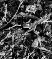 Annals of Military and Health Sciences Research
