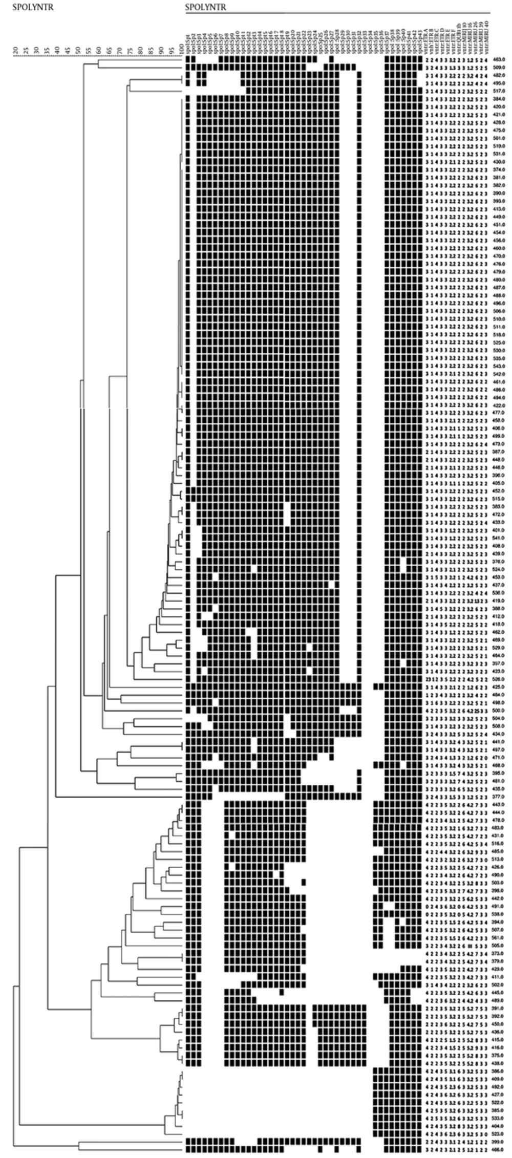Spoligotyping and MIRU-VNTR UPGMA Phylogeny Tree Spoligotyping and MIRU-VNTR UPGMA Phylogeny Tree