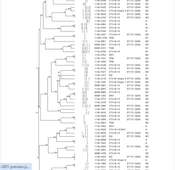 Jundishapur J Microbiol