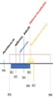Acute Bacterial Meningitis: Diagnosis, Treatment and Prevention